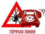«Горячая линия» по вопросам профилактики клещевого энцефалита и других инфекций, передающихся клещами