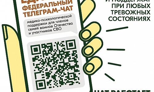 Участники СВО и члены их семей могут бесплатно и круглосуточно получить медико-психологическую помощь в специальном федеральном чате