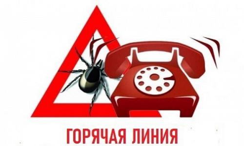 Всероссийская «горячая линия» по профилактике клещевого энцефалита